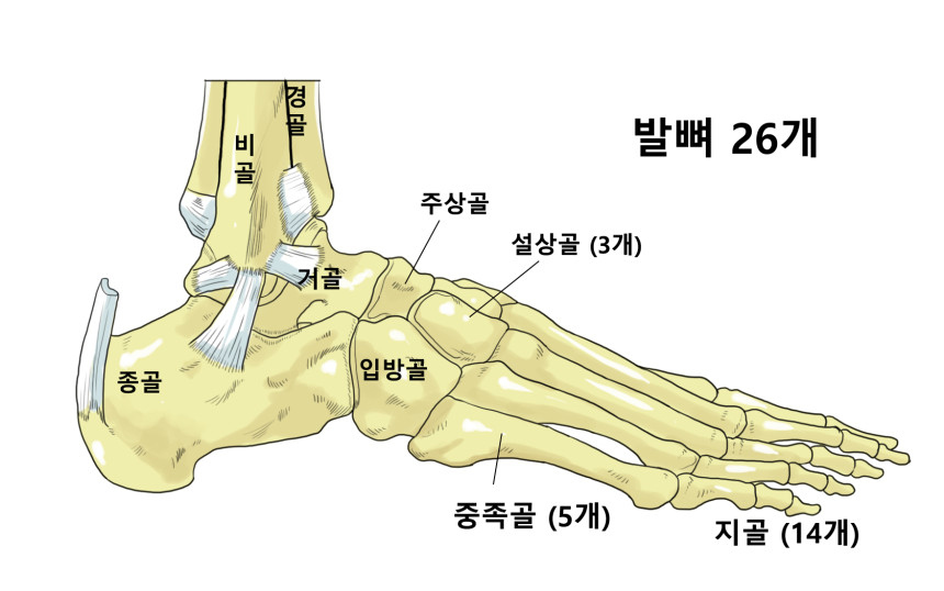 KakaoTalk_20250809_174932124.jpg