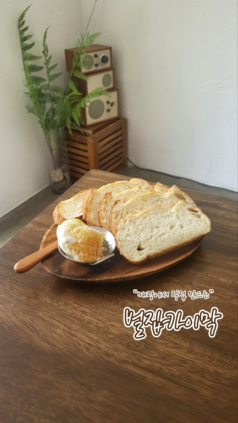 KakaoTalk_20251209_110718391.jpg