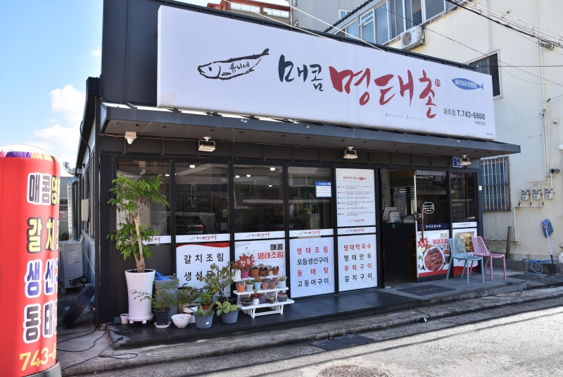 KakaoTalk_20260115_101120285.jpg