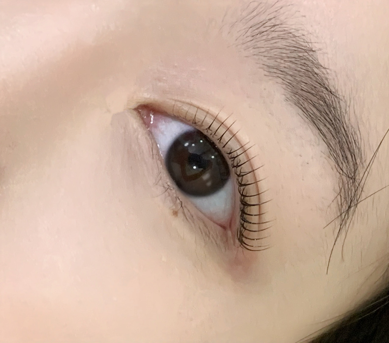 다운로드 (2).jpeg
